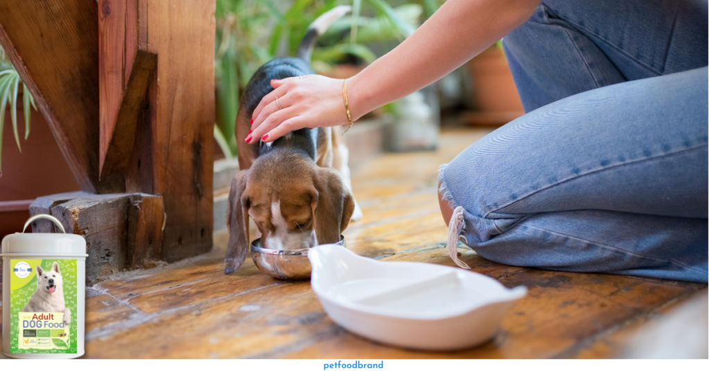 What Are The Effects of Giving Adult Dog Food to Puppies?
