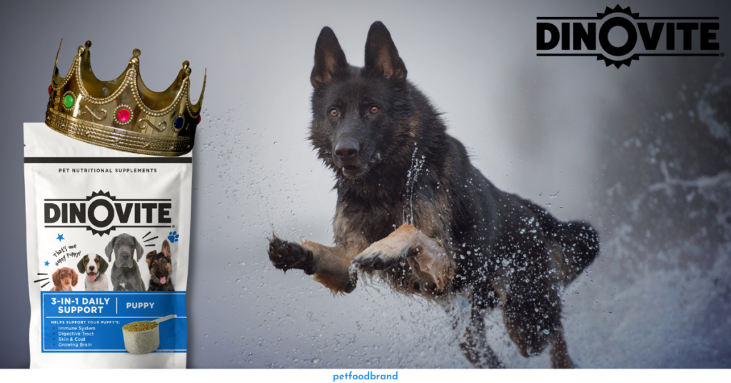 What Sets Dinovite Dog Food Apart From Its Competitors?