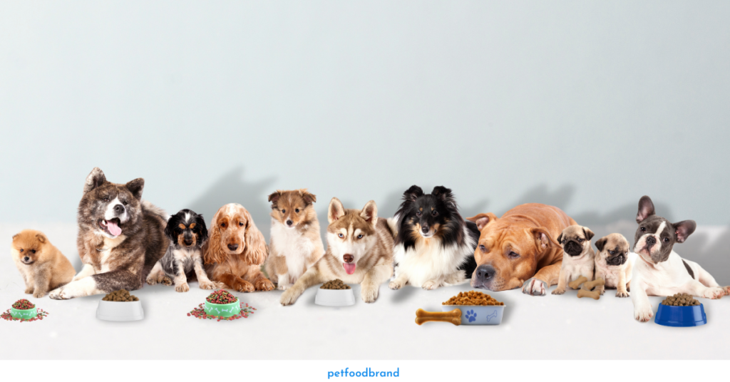 Why do Puppies And Adults Need Different Food?