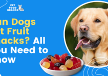 Can Dogs Eat Fruit Snacks? All You Need to Know