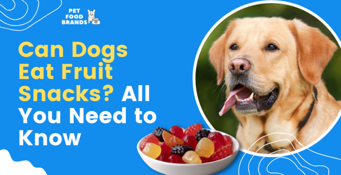 Can Dogs Eat Fruit Snacks? All You Need to Know