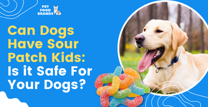 can dogs have sour patch kids