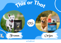 Fromm Vs Orijen: Choosing the Perfect Food for Your Furry Friend
