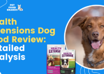 Health Extensions Dog Food Review: Detailed Analysis
