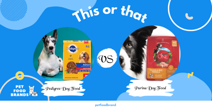 Pedigree Vs Purina – Which One is Better for Your Dog?