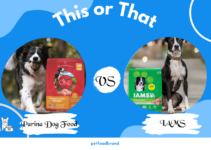 IAMS Vs Purina Dog Food: In-Depth Comparison [2023]