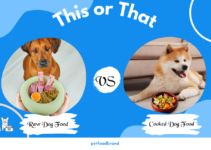 Raw Vs. Cooked Dog Food: Which One is The Healthiest Way to Feed a Dog?