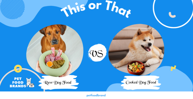 Raw Vs. Cooked Dog Food: Which One is The Healthiest Way to Feed a Dog?