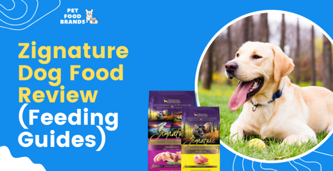 Zignature Dog Food Review (Feeding Guides)
