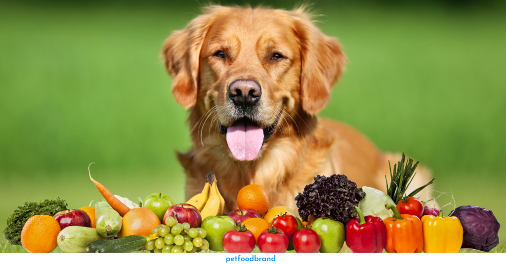 Fruits That Are Safe For Your Dog