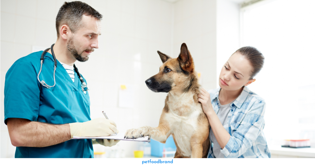 Treatment Options for Chicken Allergy in Dogs