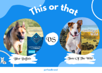 Blue Buffalo Vs. Taste of The Wild: Which Dog Food Is Best?