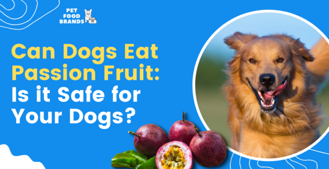 can dogs eat passionfruit