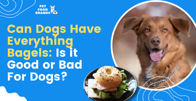 can dogs have everything bagels