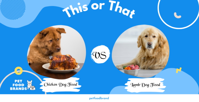 chicken vs lamb dog food