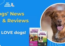 Iams Dog Food Review: Is It Worth The Hype?