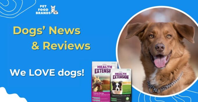 Dogs’ News & Reviews - We LOVE dogs