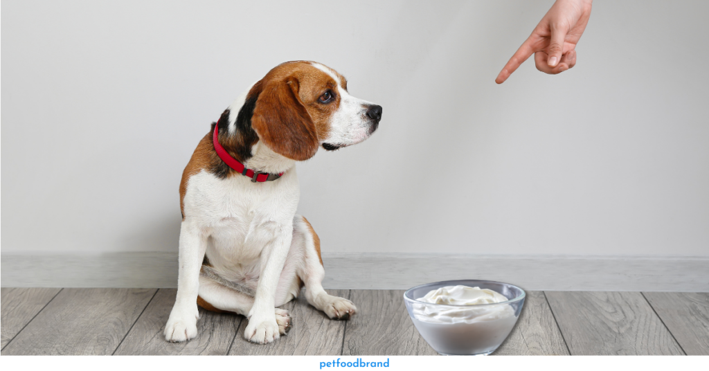 Health Risks Associated With Dogs Eating Activia Yogurt