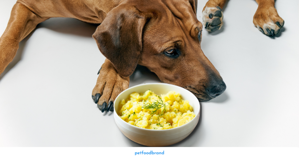 How Can Potato Salad Harm Your Dog