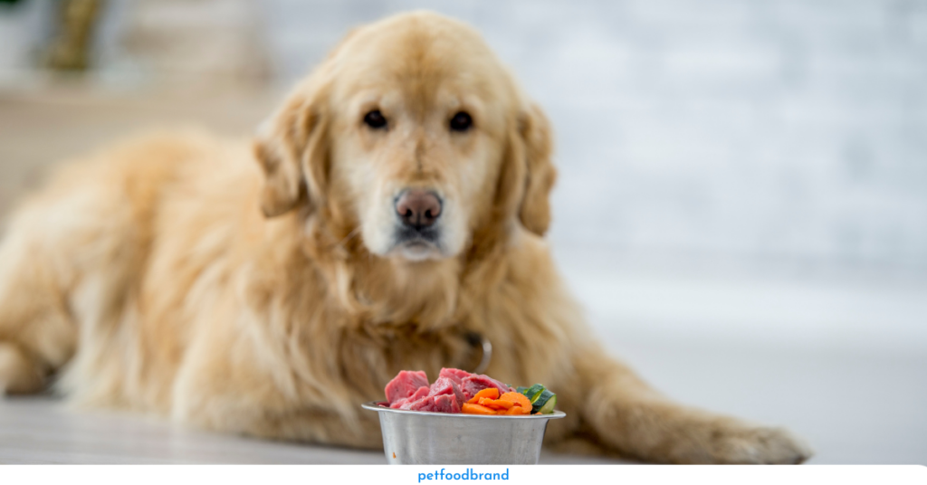 What is Dietary Protein for Dogs