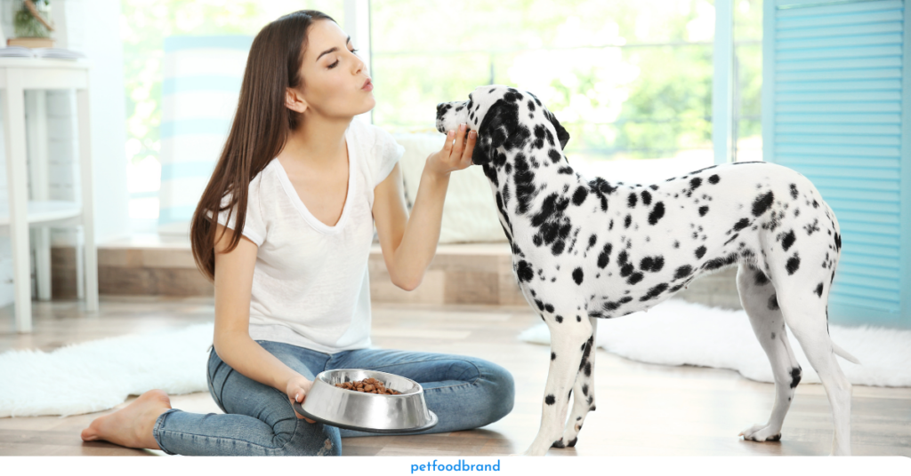 Why is Protein Intake Essential for Your Dogs