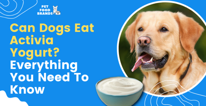Can Dogs Eat Activia Yogurt? Everything You Need to Know