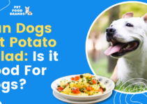 Can Dogs Eat Potato Salad: Is it Good For Dogs?