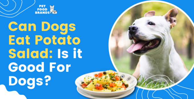 can dogs eat potato salad