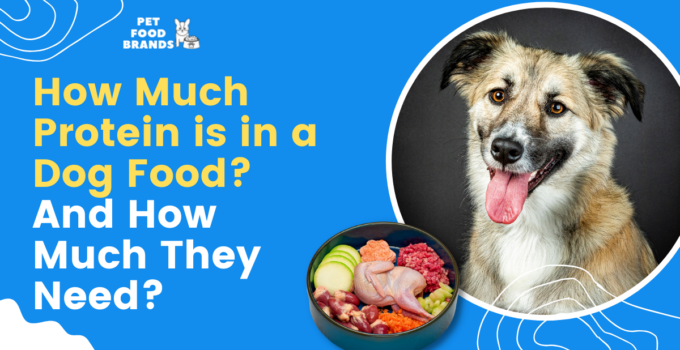 how much protein is in dog food