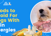 7 Foods to Avoid For Dogs With Skin Allergies
